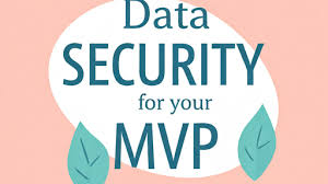 MVP Security: Essential Best Practices for Startup Success Now